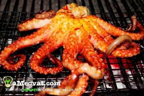 Chia sẻ 2 cách làm bạch tuộc nướng thơm ngon nhất