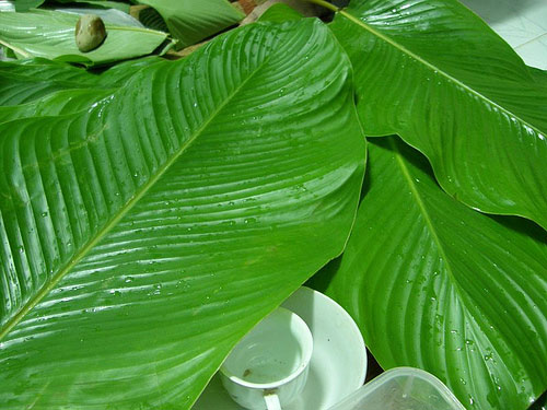 Cách làm bánh chưng cốm đặc biệt thơm ngon và độc đáo
