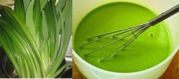 Cách làm bánh đúc mặn, bánh đúc lá dứa ngon miễn chê