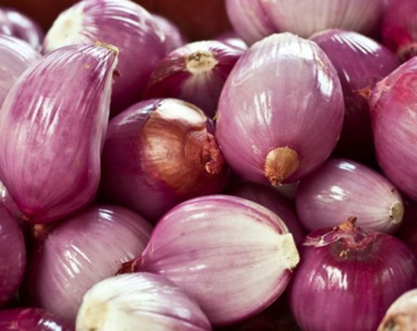 Cách làm cánh gà hấp muối vàng ươm, ngọt thịt siêu ngon cho cả gia đình