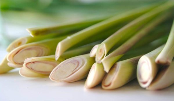 Cách làm cánh gà hấp muối vàng ươm, ngọt thịt siêu ngon cho cả gia đình