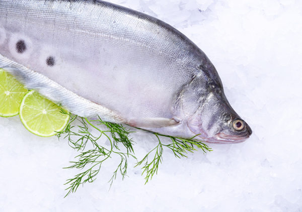 Cách làm chả cá thác lác dai giòn, ngon hết ý