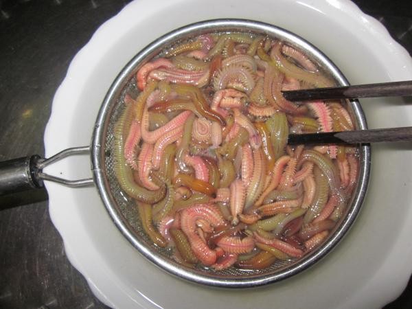 Cách làm chả rươi vỏ quýt thơm ngậy, không tanh