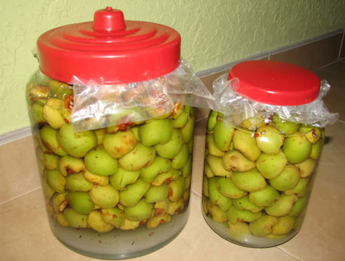 Cách làm dấm táo mèo bổ dưỡng tại nhà