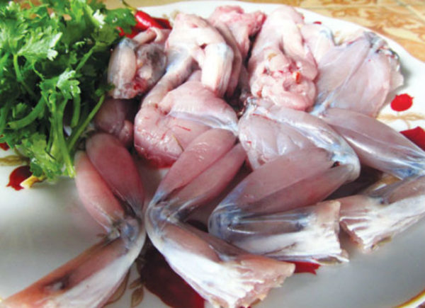 Cách làm ếch xào măng đơn giản thơm ngon bổ dưỡng