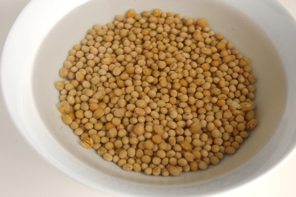 Cách làm giá đỗ xanh, giá đỗ tương tại nhà cực đơn giản