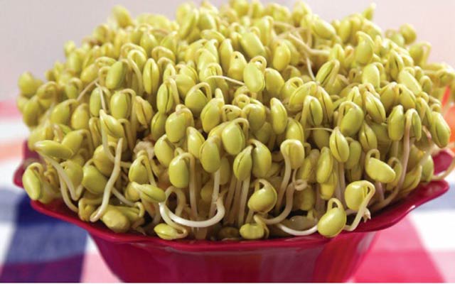 Cách làm giá đỗ xanh, giá đỗ tương tại nhà cực đơn giản