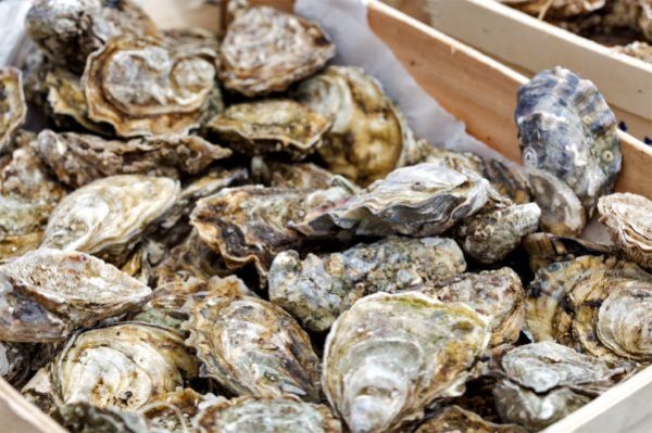 Cách làm hàu nướng siêu ngon và đơn giản ngay tại nhà