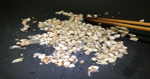 Cách làm hến xào đặc biệt thơm ngon không kém nhà hàng