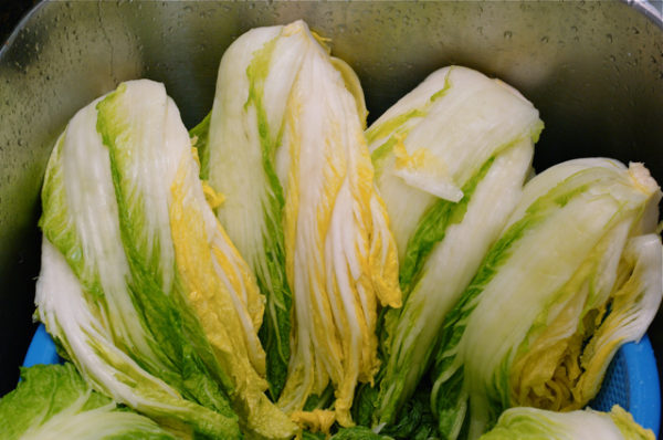 Cách làm kim chi cải thảo ngon, giòn chuẩn vị chiêu đãi cả nhà