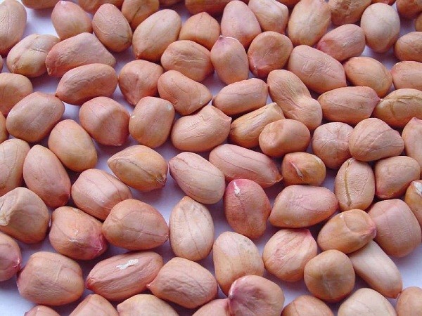 Cách làm lạc rang muối giòn ngon chỉ với hai bước