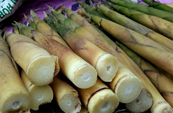 Cách làm măng ớt tại nhà cay giòn cực ngon