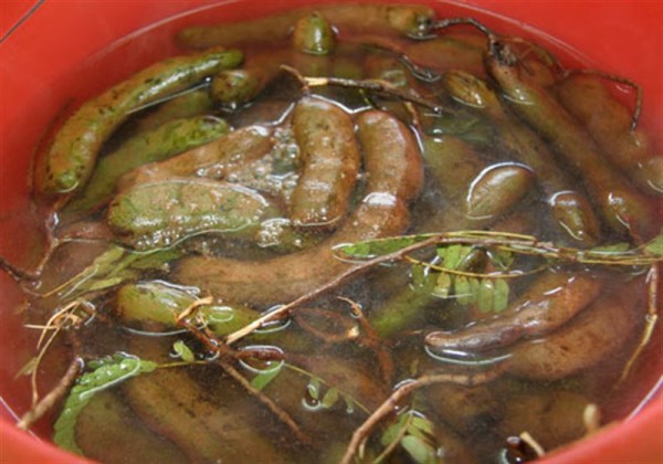 Cách làm me ngâm với 2 bí quyết ngâm me ngon nhất