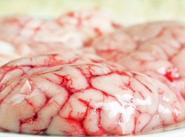 Cách làm óc heo chưng đậu xanh bổ dưỡng cho các sĩ tử mùa thi