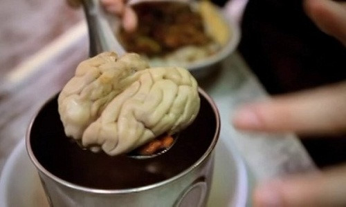 Cách làm óc heo chưng đậu xanh bổ dưỡng cho các sĩ tử mùa thi