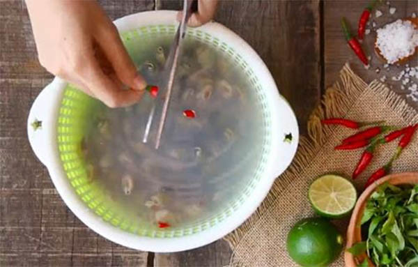 Cách làm ốc xào măng chua cay đặc trưng xứ Thanh