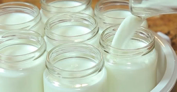 Cách làm sữa chua uống giúp da sáng, dáng xinh