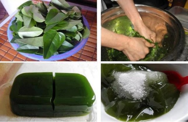 Cách làm thạch đen từ lá thạch mịn ngon tự nhiên