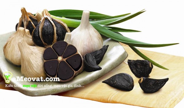 Cách làm tỏi đen mang lại công dụng tuyệt vời
