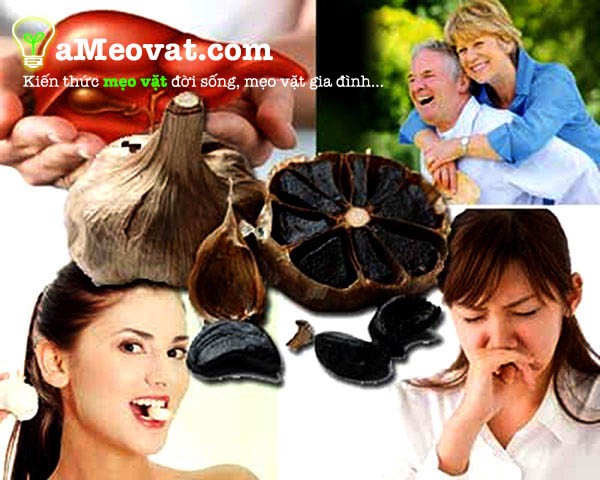 Cách làm tỏi đen mang lại công dụng tuyệt vời