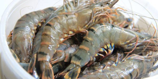 Cách làm tôm chua ngọt ngon mê ly, siêu hấp dẫn