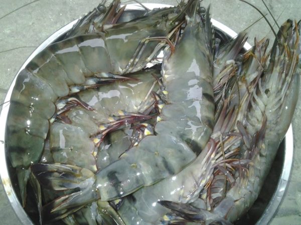 Cách làm tôm chua ngọt ngon mê ly, siêu hấp dẫn