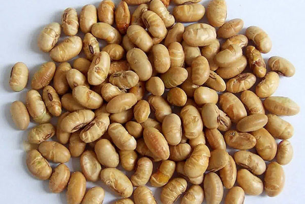 Cách làm tương bần chuẩn công thức của người Hưng Yên