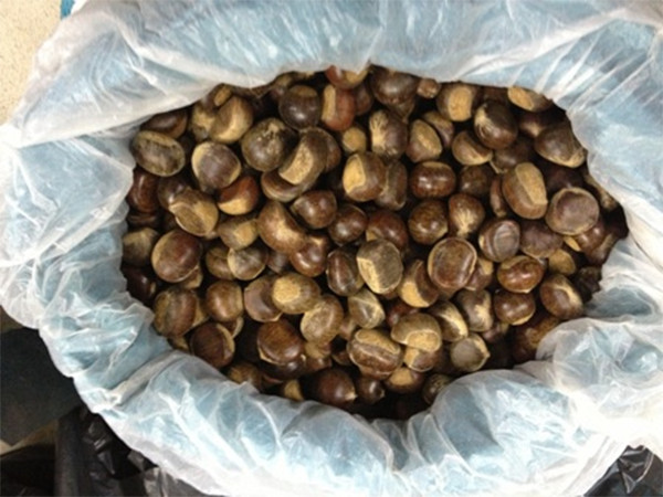 Cách luộc hạt dẻ chín đúng cách, dễ bóc vỏ