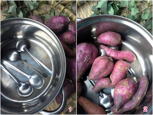 Cách luộc khoai lang chín bở, không nát