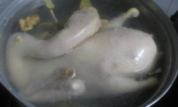 Cách luộc vịt ngon thịt thơm mềm không hôi