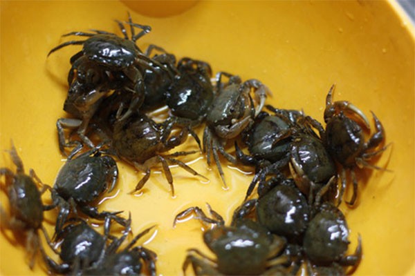 Cách nấu canh cua đồng rau đay ngon mát ngày hè