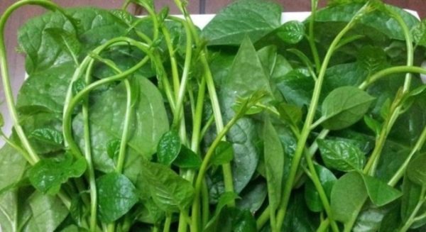 Cách nấu canh hàu củ cải siêu nhanh mà lại vô cùng thơm ngon, bổ dưỡng
