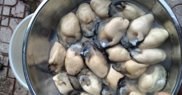 Cách nấu canh hàu củ cải siêu nhanh mà lại vô cùng thơm ngon, bổ dưỡng