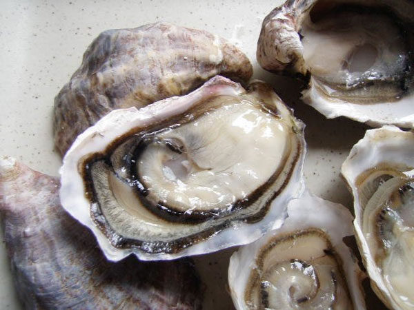 Cách nấu canh hàu củ cải siêu nhanh mà lại vô cùng thơm ngon, bổ dưỡng