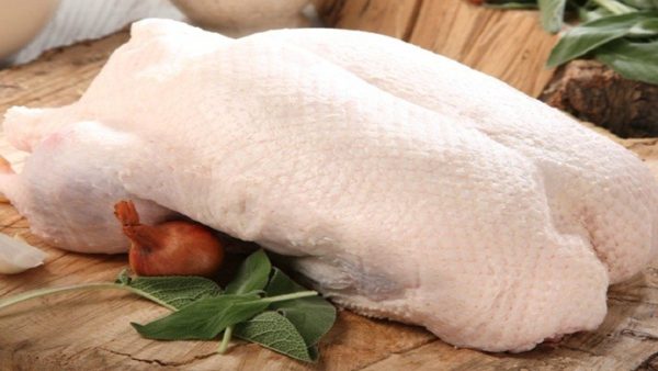 Cách nấu cháo vịt ngon bổ dưỡng, ngon khó cưỡng