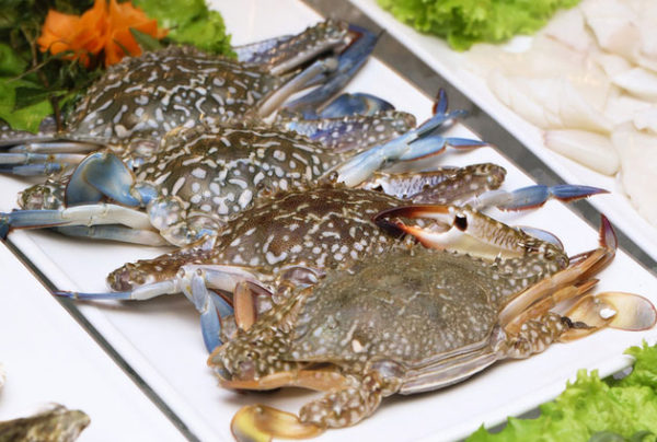 Cách nấu bánh canh ghẹ đặc sản miền Trung ngon khó cưỡng