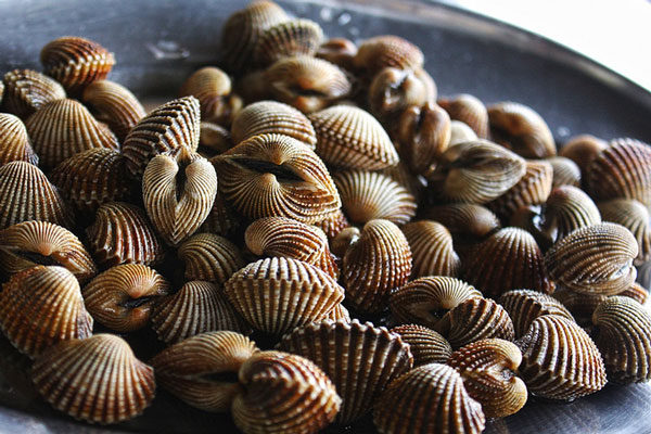 Cách nấu cháo sò huyết thơm ngon bổ dưỡng tốt cho sức khỏe