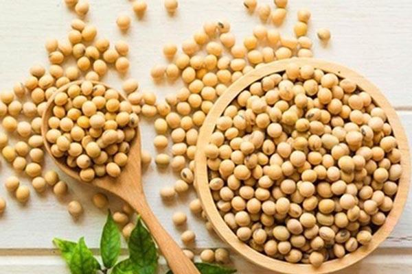 Cách làm mầm đậu nành để làm đẹp ngay tai nhà