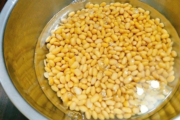 Cách làm mầm đậu nành để làm đẹp ngay tai nhà