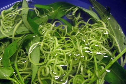 Cách làm nộm rau muống ngon giòn ngay tại nhà