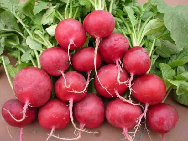 Cách nấu cháo trứng gà ngon nhiều vitamin cho bé