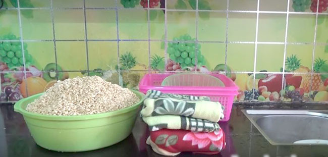 Cách làm mầm đậu nành để làm đẹp ngay tai nhà