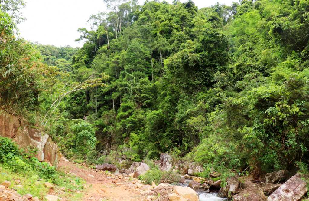 Khám phá thác Ngàn Chi (Quảng Ninh)