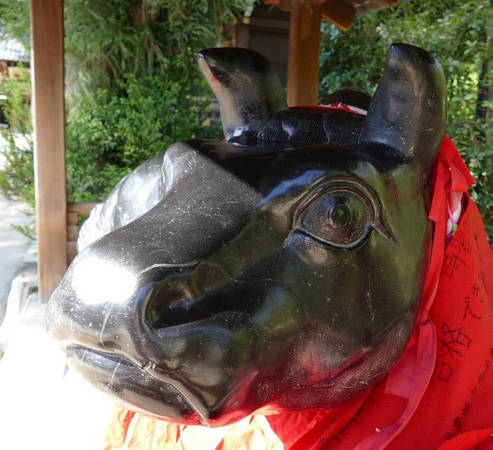 10 điều đặc biệt và mới mẻ chờ đón du khách ở Kyoto
