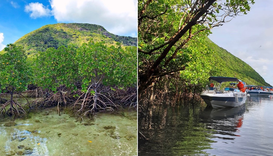 Hòn Bảy Cạnh, Côn Đảo