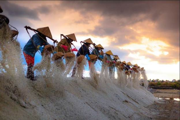 Vẻ đẹp mặn mà của những cánh đồng muối Ninh Thuận