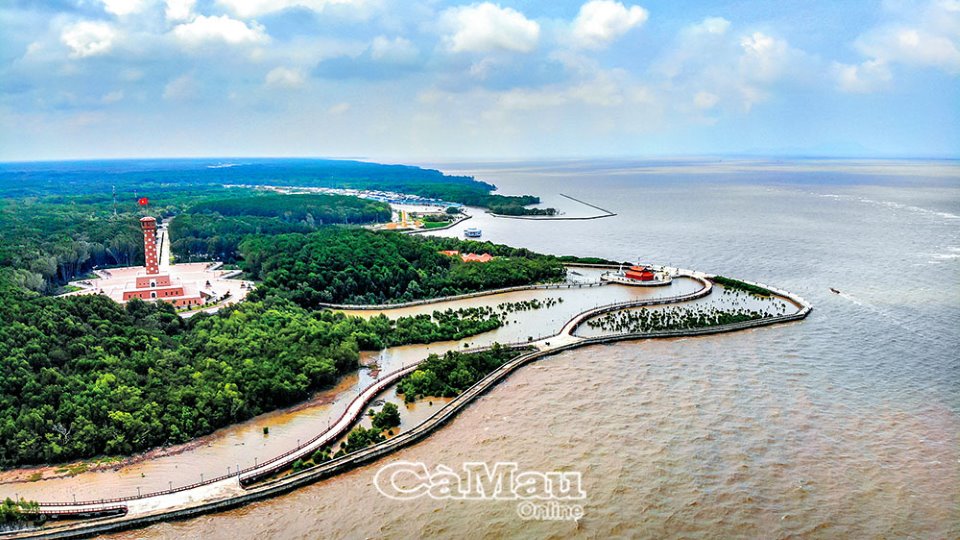 Khám phá Cồn cát mới ở Mũi Cà Mau