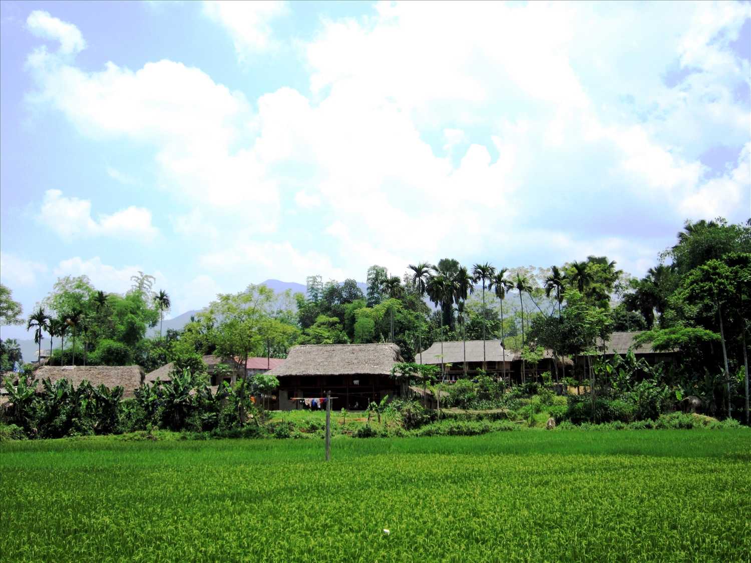 Trải nghiệm du lịch Chợ Chu, Thái Nguyên