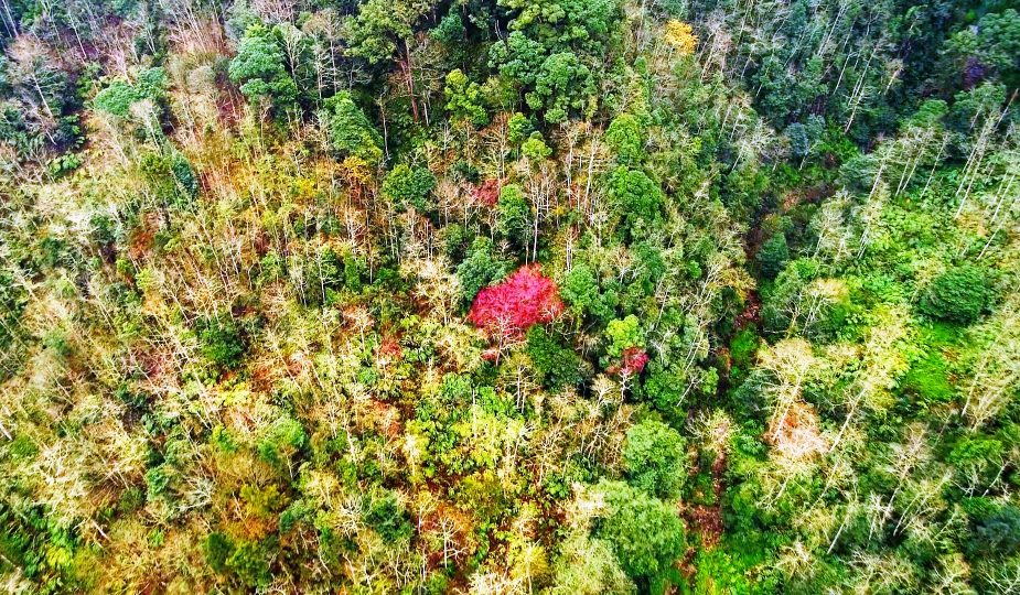 Tiềm năng du lịch khám phá đỉnh Tây Côn Lĩnh, Hà Giang