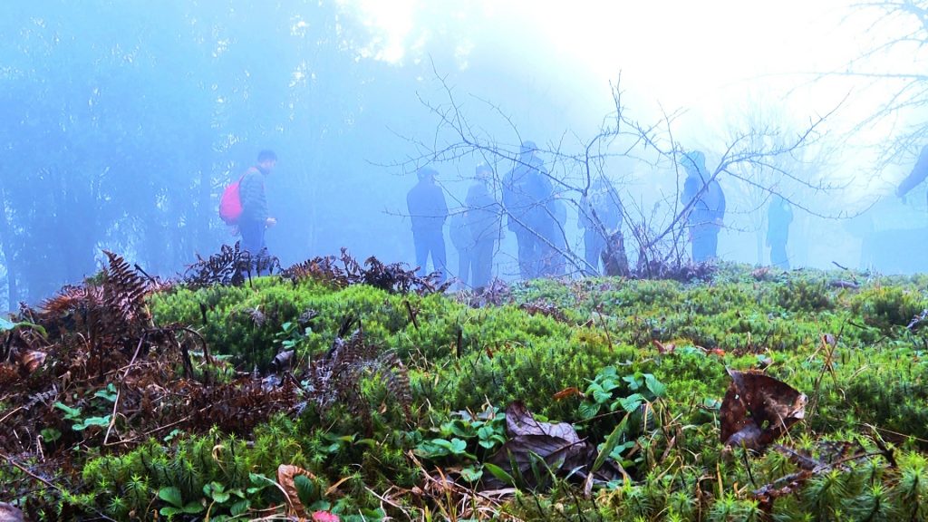 Tiềm năng du lịch khám phá đỉnh Tây Côn Lĩnh, Hà Giang